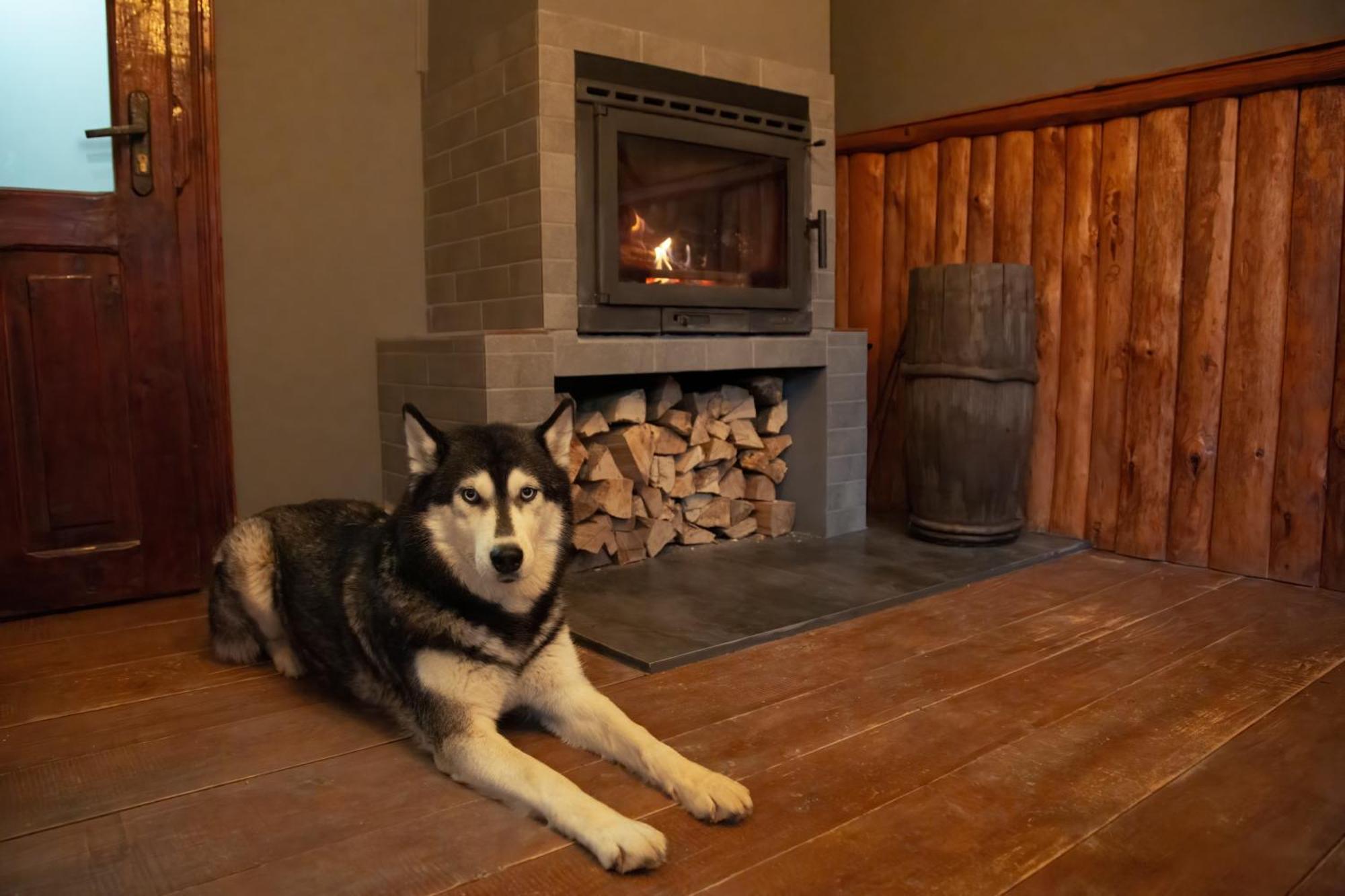 Holiday home файна чічка *